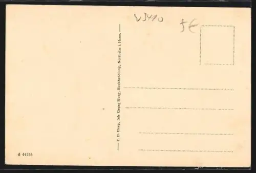 AK Northeim /Hann., Waldpartie mit Hütte und Wanderpfad