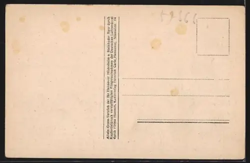 AK Hannover, Vogelschau auf Rathaus mit Masch-Park