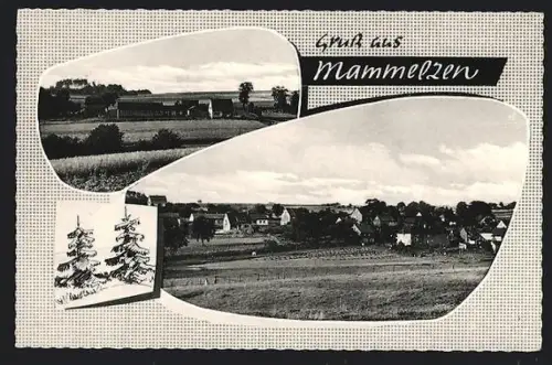 AK Mammelzen bei Altenkirchen, Teilansichten im Passepartout