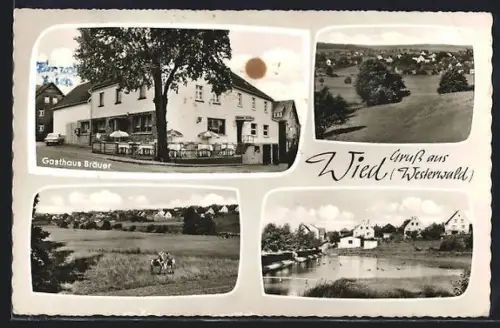 AK Wied bei Hachenburg, Gasthaus Bräuer, Flusspartie, Feld mit Pferden