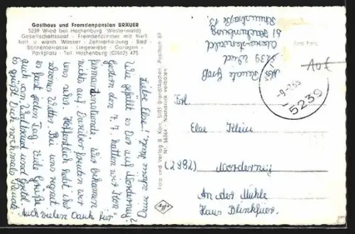 AK Wied bei Hachenburg, Gasthaus Bräuer, Flusspartie, Feld mit Pferden