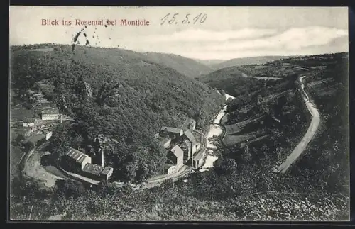 AK Montjoie, Blick ins Rosental