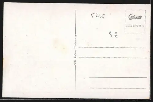 AK Hachenburg, Alter Markt mit Geschäften und Passanten, Schloss, Schwimmbad, Abtei Marienstatt