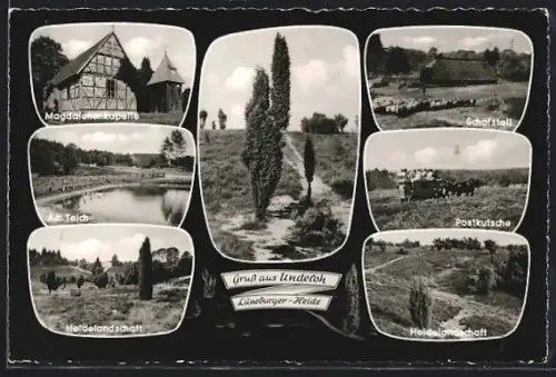 AK Undeloh /Lüneburger Heide, Magdalenenkapelle, Schafstall, Heidelandschaften, Teich u. Postkutsche