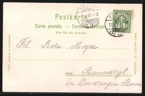 Künstler-AK Vevey, Exposition 1901, Panorama