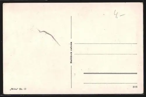 AK Komotau, Städt. Parksäle