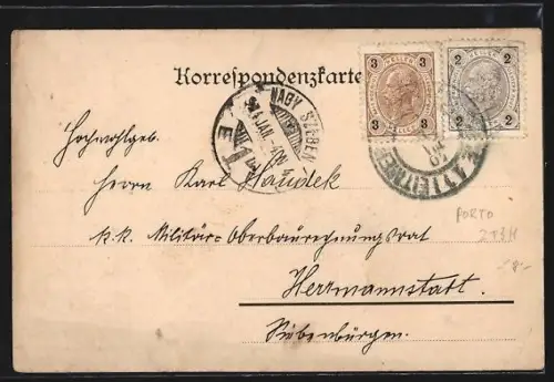 AK Leitmeritz, Ortsansicht aus der Vogelschau