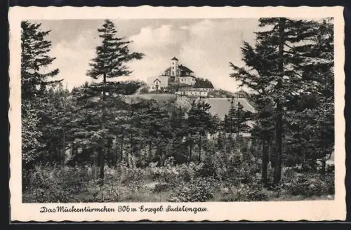 AK Aussig /Erzgeb., Das Mückentürmchen