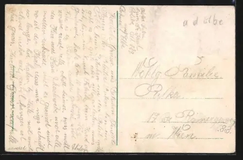 AK Tetschen, Raddampfer am Schloss