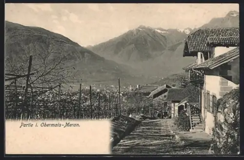 AK Obermais-Meran, Strassenpartie mit Ort und Bergen