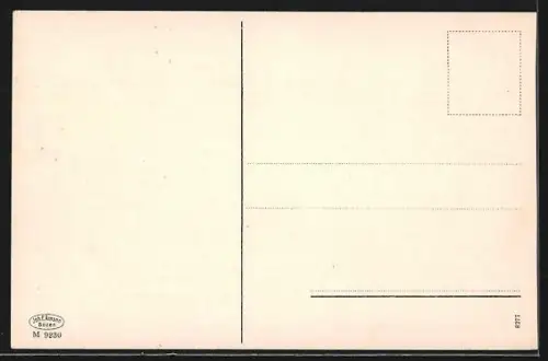 AK Meran, Brunnenburg mit Umgebung