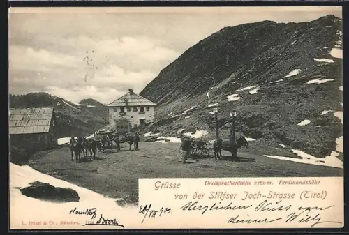 AK Stilfser Joch-Strasse /Tirol, Dreisprachenhütte auf der Ferdinandshöhe