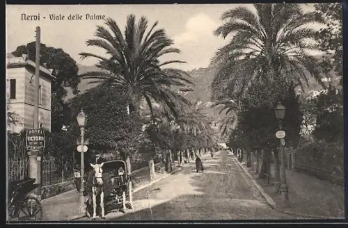 AK Nervi, Viale delle Palme
