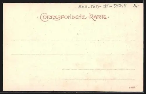 AK Pfitscher-Joch /Tirol, Panorama