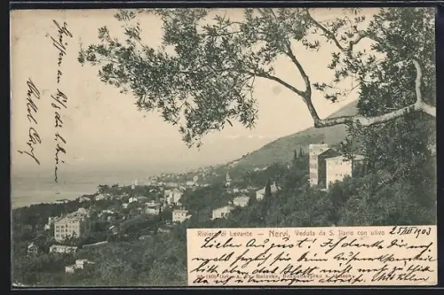 AK Nervi, Riviera di Levante, Veduta da S. Ilario con ulivo