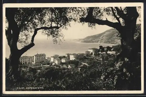 AK Ospedaletti, Panorama