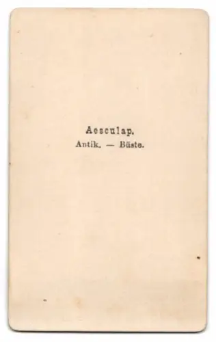 Fotografie Büste: Aesculap