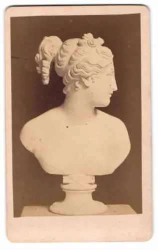 Fotografie Büste: Venus, nach Canova