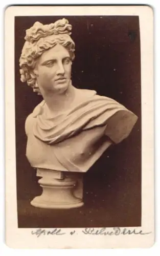 Fotografie Büste: Apollo vom Belvedere