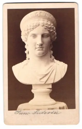 Fotografie Büste: Juno Ludovisi