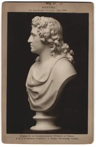 Fotografie F. & O. Brockmann, Dresden, Büste des Schriftsteller Goethe von Alexander Trippel