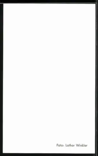 AK Sänger Freddy Quinn mit nachdenklichem Blick, Autograph