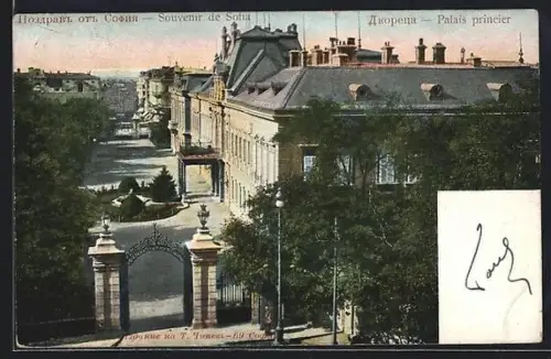 AK Sofia, Palais princier
