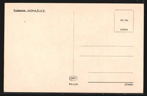 AK Domazlice /Sumava, Totalansicht mit Türmen