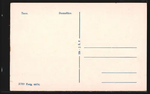 AK Domazlice /Taus, Platz