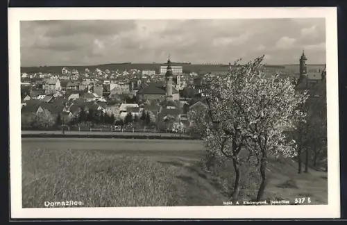 AK Domazlice, Ortspanorama von einem Feld aus