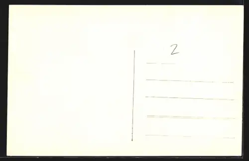 AK Domazlice, Ortspanorama von einem Feld aus