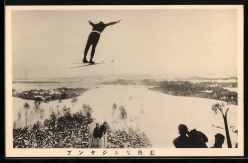 AK Skispringer beim Sprung, Zuschauer