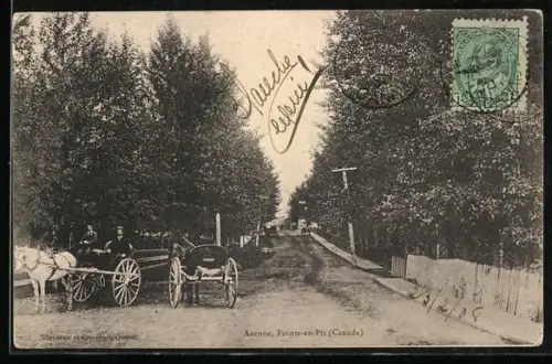 AK Pointe-au-Pic, Avenue