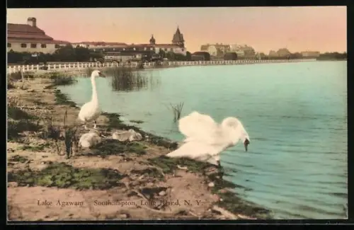 AK Long Island, NY, Lake Agawam, Southhampton