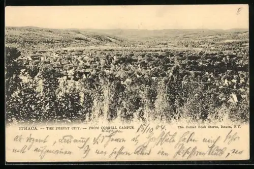 AK Ithaca, NY, The Forest City, From Cornell Campus