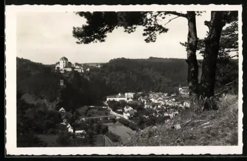 AK Vranov n. Dyji, Zámek