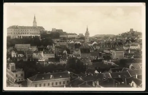 AK Nikolsburg i. M., Gesamtansicht mit Schloss