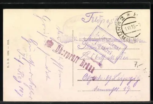 AK Brünn, Spielberg mit Schloss vom Turme der Jubiläumskirche aus