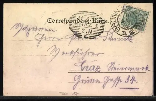 AK Brünn, Panorama mit Schloss