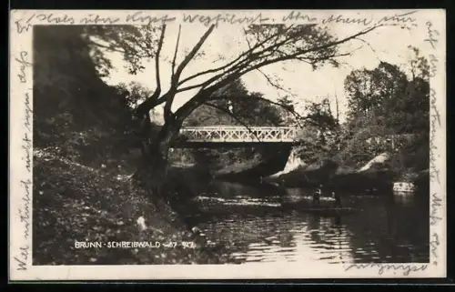 AK Brünn, Schreibwald mit Brücke