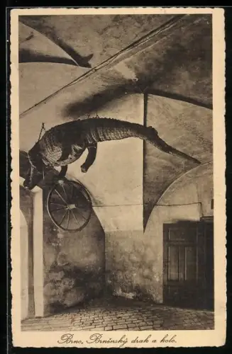 AK Brno, Brnenský drak a kolo