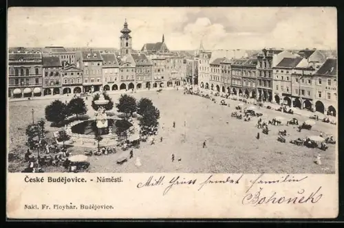 AK Ceské Budejovice, Námesti