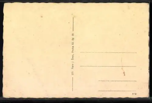 AK Tábor, Celkový pohled