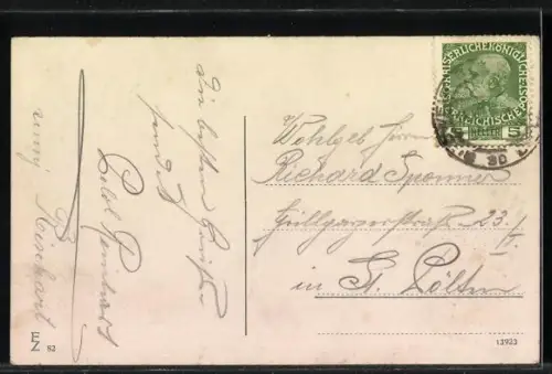 AK Budweis / Ceske Budejovice, Ortsansicht mit Blick über die Dächer des Ortes