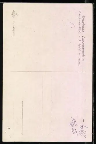 AK Prachatitz, Ortsansicht