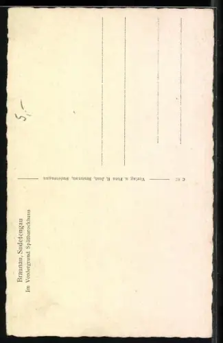 AK Braunau, Benediktiner-Kloster, im Vordergrund Spätbarockhaus