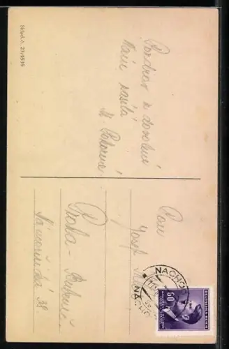 AK Náchod, Strassenpartie mit Schloss