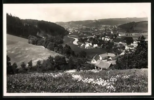 AK Náchod, Panorama mit Strassenpartie