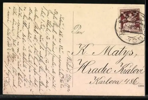 AK Nachod, Blick von einer Anhöhe auf den Ort