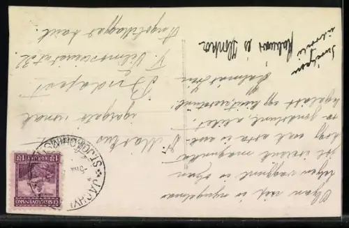 AK Jáchymov, Panorama mit Palace-Hotel